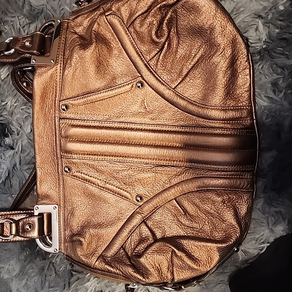 Shiny Purse